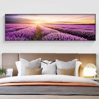 Cánh đồng hoa lavender