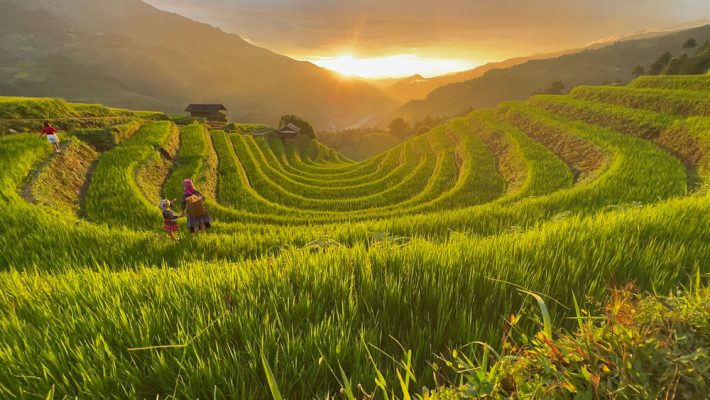 Tranh ruộng bậc thang Mù Cang Chải