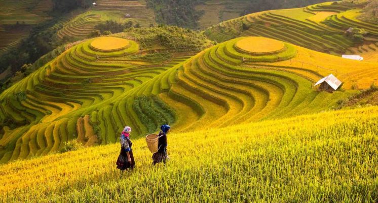 Tranh núi rừng có người