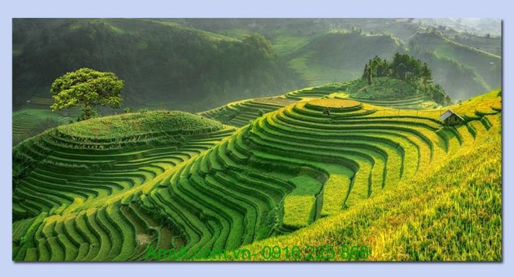 Tranh phong cảnh đồi núi đẹp 2
